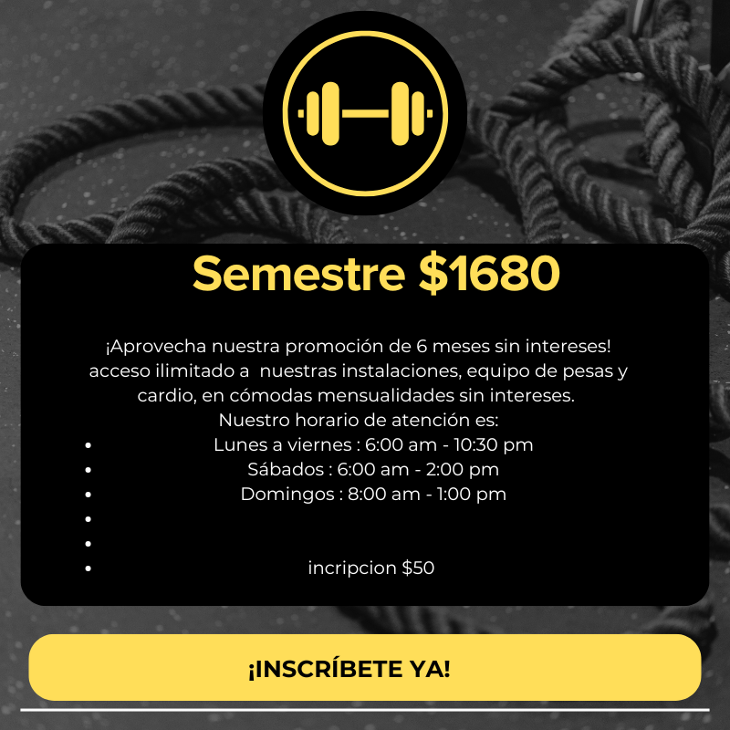 2 Semestre